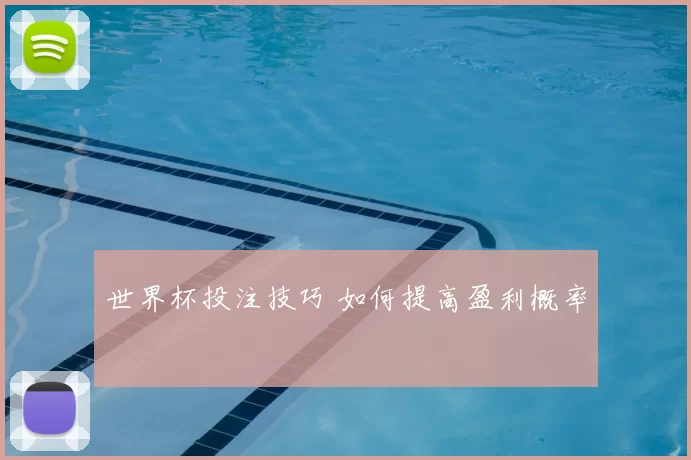 世界杯投注技巧 如何提高盈利概率