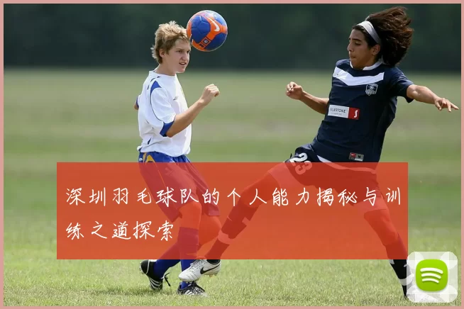 深圳羽毛球队的个人能力揭秘与训练之道探索