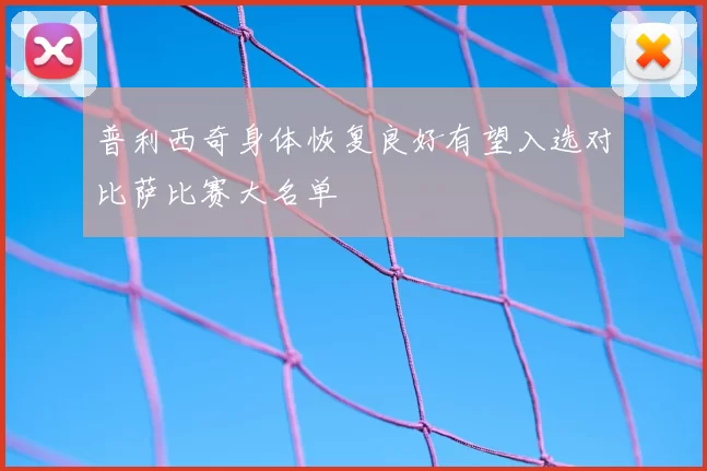 普利西奇身体恢复良好有望入选对比萨比赛大名单