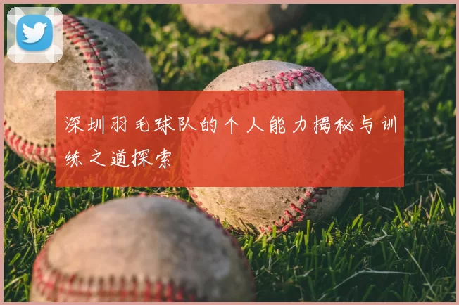 深圳羽毛球队的个人能力揭秘与训练之道探索