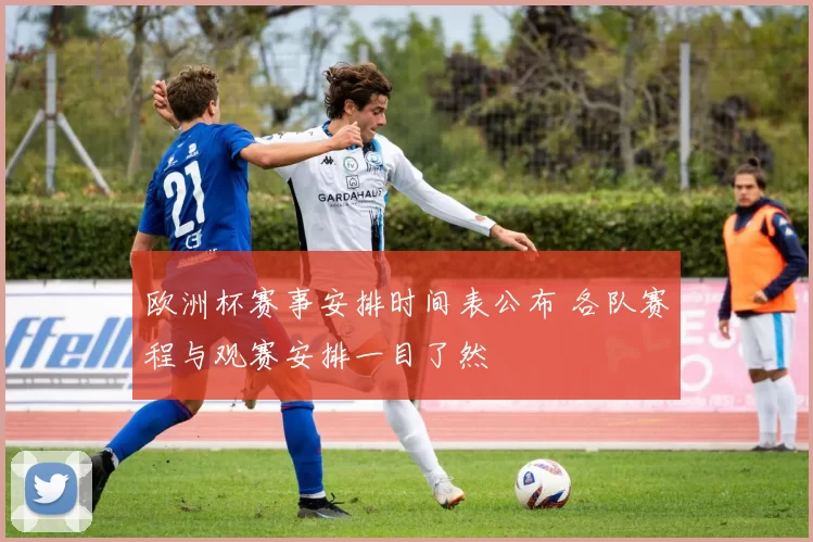 欧洲杯赛事安排时间表公布 各队赛程与观赛安排一目了然