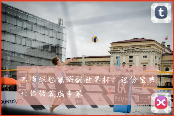 不懂球也能嗨翻世界杯？这份宝典让你伪装成专家