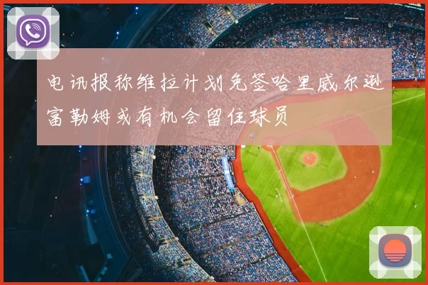 电讯报称维拉计划免签哈里威尔逊富勒姆或有机会留住球员