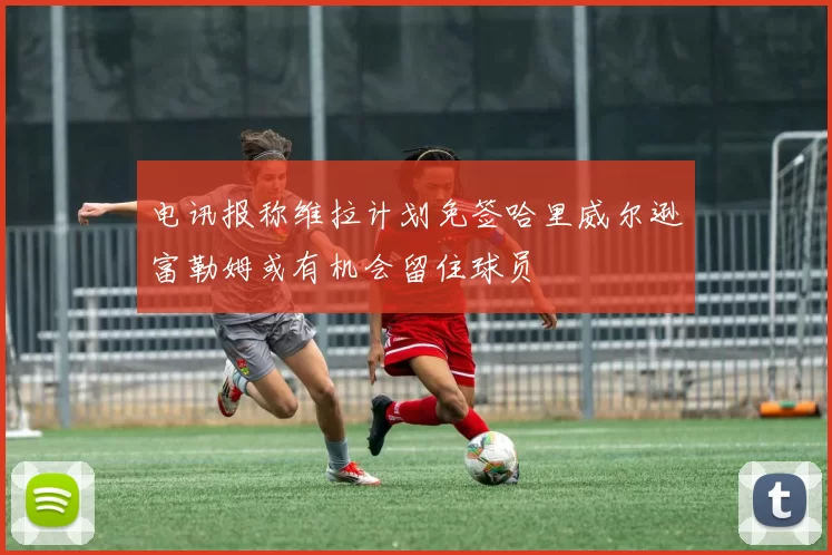 电讯报称维拉计划免签哈里威尔逊富勒姆或有机会留住球员