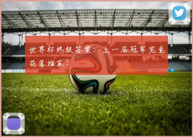 世界杯终极答案:上一届冠军究竟花落谁家?