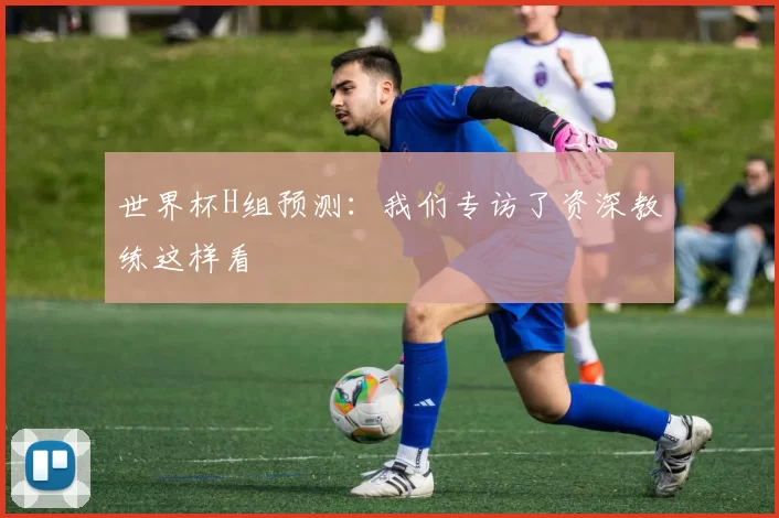 世界杯H组预测：我们专访了资深教练这样看