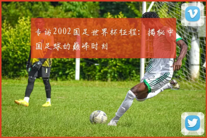 专访2002国足世界杯征程：揭秘中国足球的巅峰时刻