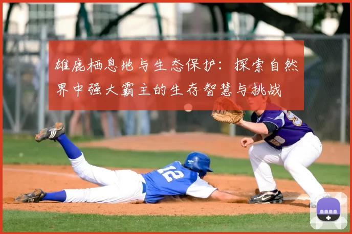 雄鹿栖息地与生态保护：探索自然界中强大霸主的生存智慧与挑战