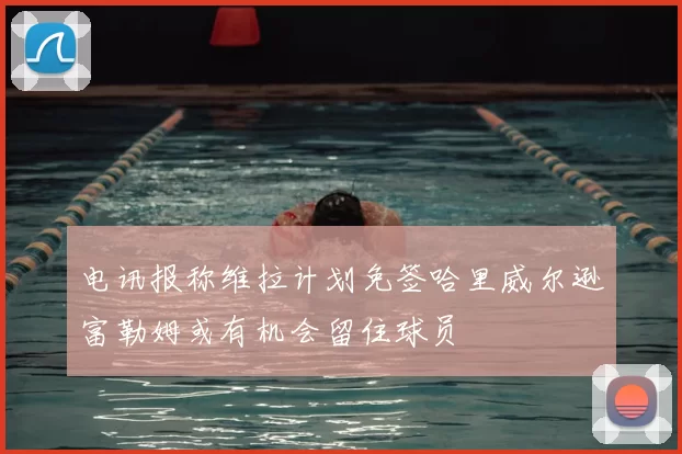 电讯报称维拉计划免签哈里威尔逊富勒姆或有机会留住球员