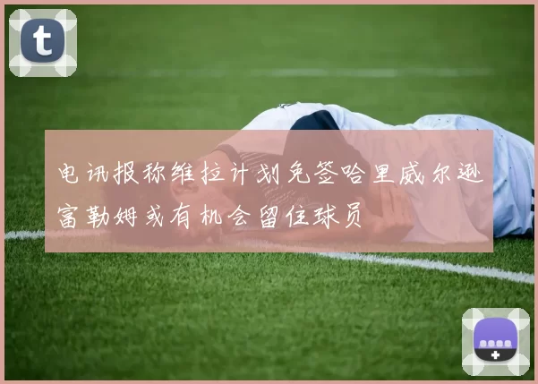电讯报称维拉计划免签哈里威尔逊富勒姆或有机会留住球员