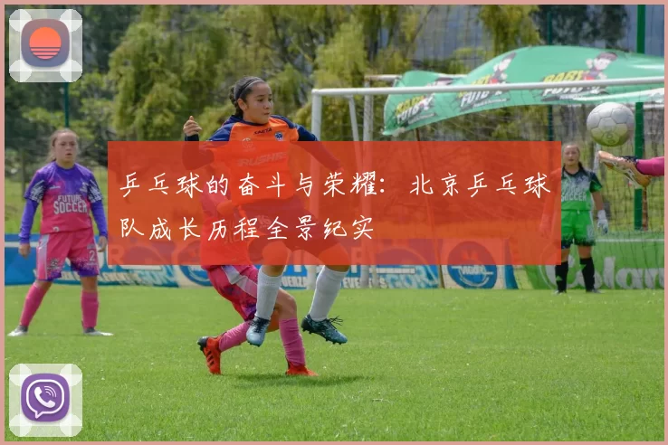 乒乓球的奋斗与荣耀：北京乒乓球队成长历程全景纪实