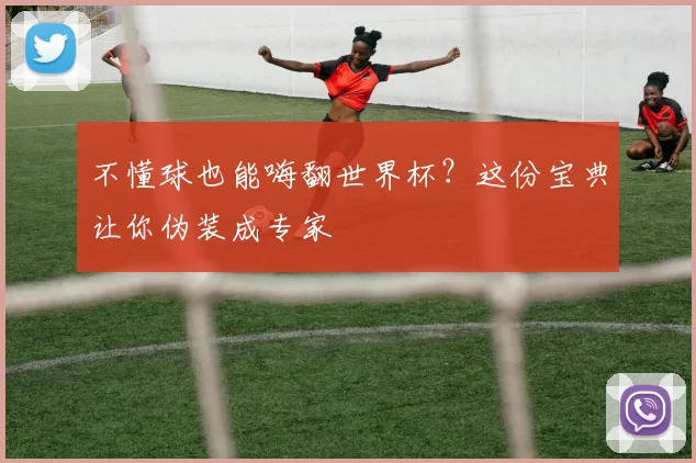 不懂球也能嗨翻世界杯？这份宝典让你伪装成专家
