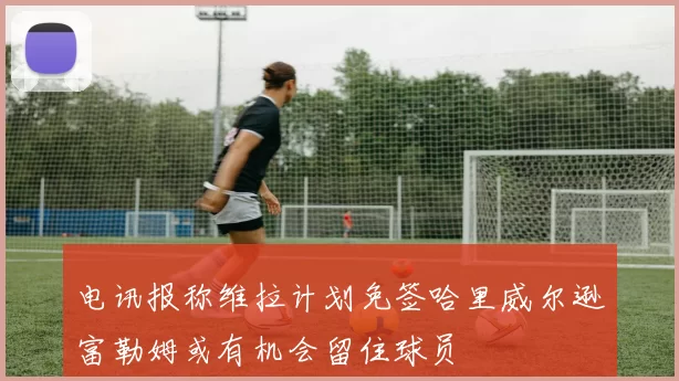 电讯报称维拉计划免签哈里威尔逊富勒姆或有机会留住球员