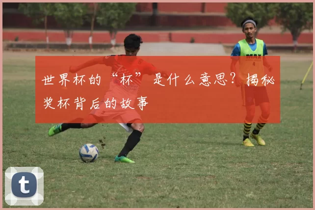 世界杯的“杯”是什么意思?揭秘奖杯背后的故事
