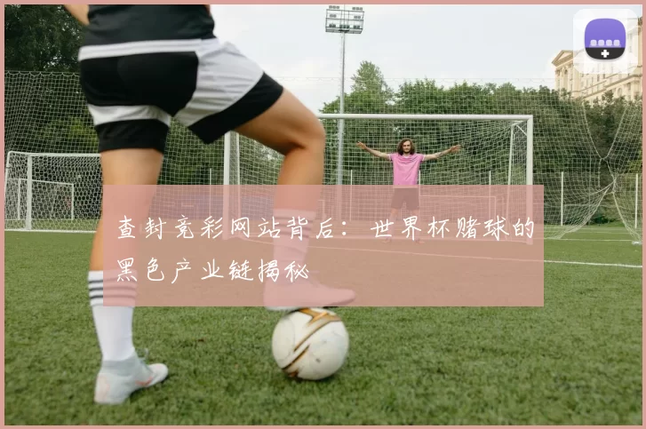 查封竞彩网站背后：世界杯赌球的黑色产业链揭秘