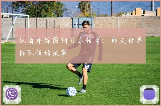 从南非绿茵到日本传奇:那支世界杯队伍的故事