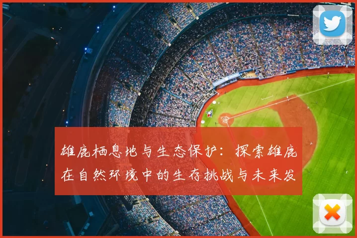 雄鹿栖息地与生态保护:探索雄鹿在自然环境中的生存挑战与未来发展潜力