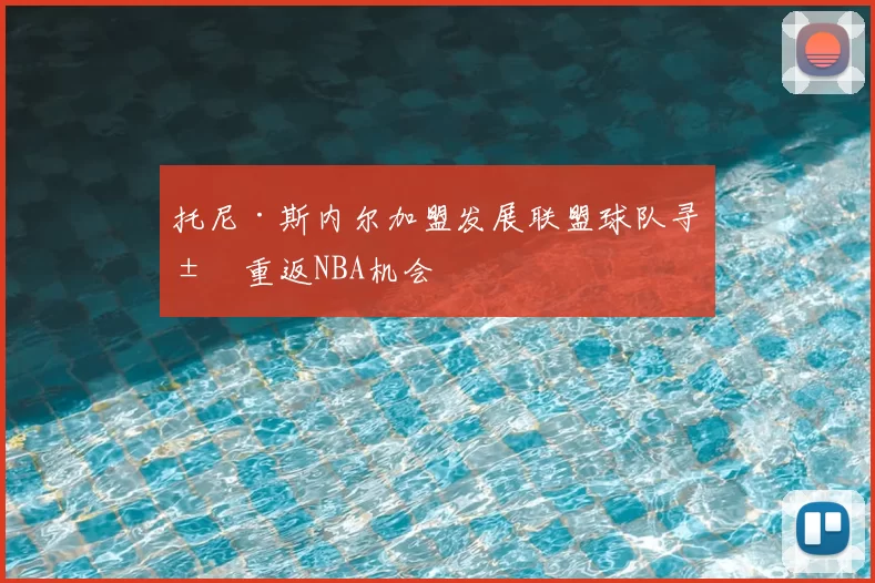托尼·斯内尔加盟发展联盟球队寻求重返NBA机会
