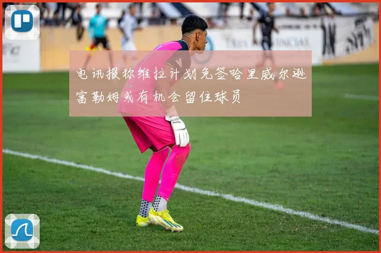 电讯报称维拉计划免签哈里威尔逊富勒姆或有机会留住球员