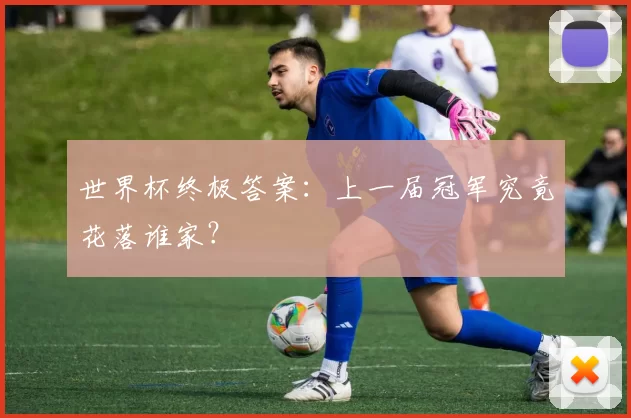 世界杯终极答案：上一届冠军究竟花落谁家？