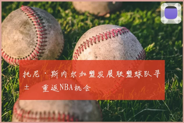 托尼·斯内尔加盟发展联盟球队寻求重返NBA机会