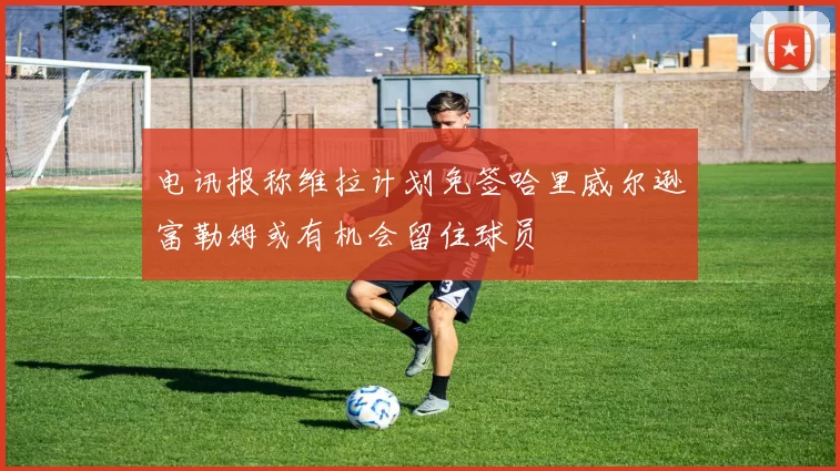 电讯报称维拉计划免签哈里威尔逊富勒姆或有机会留住球员