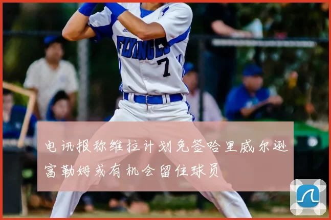 电讯报称维拉计划免签哈里威尔逊富勒姆或有机会留住球员