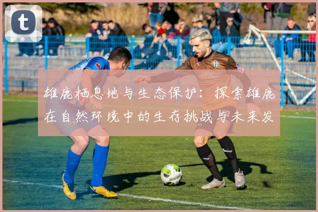 雄鹿栖息地与生态保护:探索雄鹿在自然环境中的生存挑战与未来发展潜力